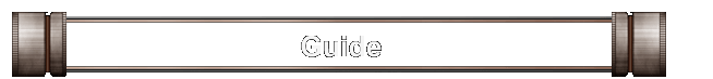 Guide